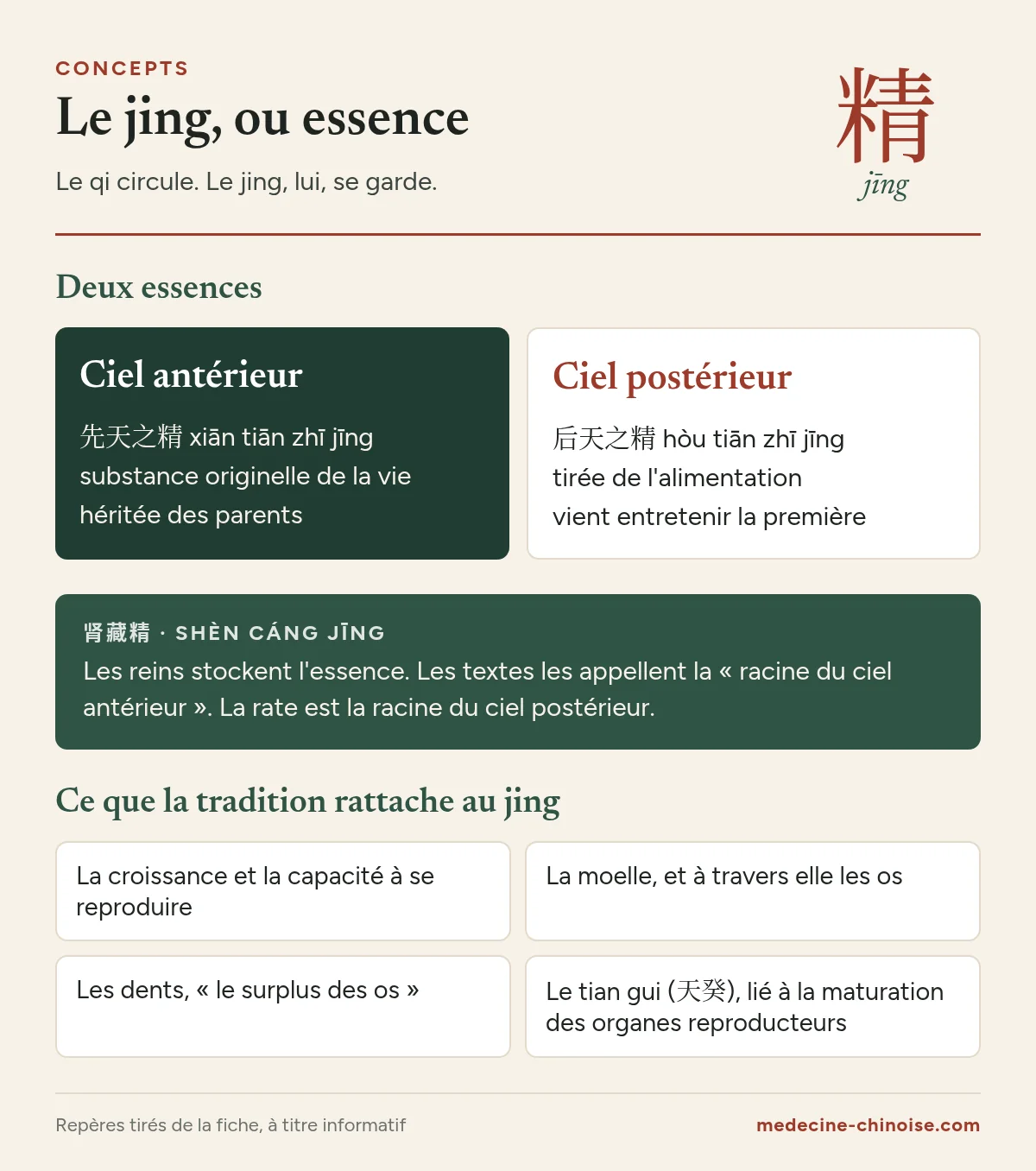 Infographie sur le jing : l'essence du ciel antérieur et du ciel postérieur, le rôle des reins et ce que la tradition rattache à l'essence