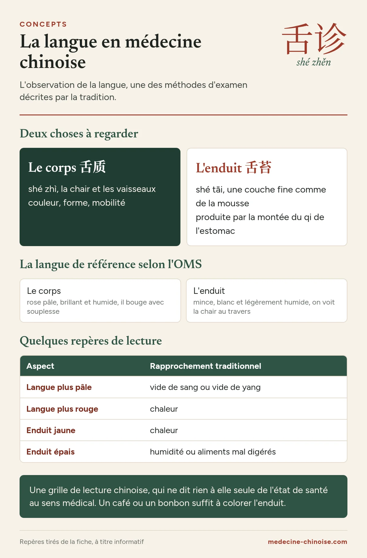 Infographie sur l'observation de la langue en médecine chinoise : corps et enduit, langue de référence et quelques repères de lecture traditionnels
